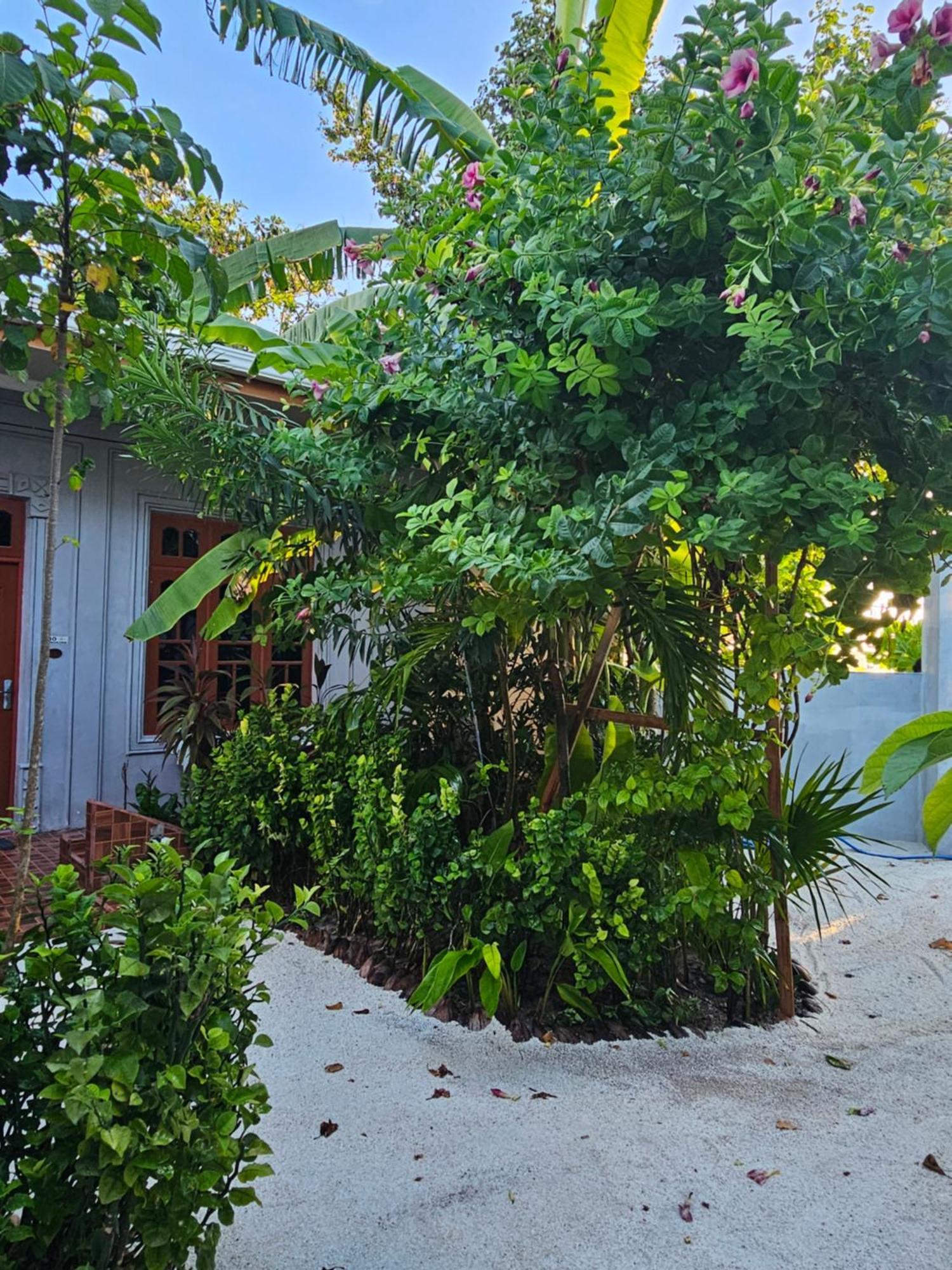 Sunset Beach View Dhangethi Esterno foto