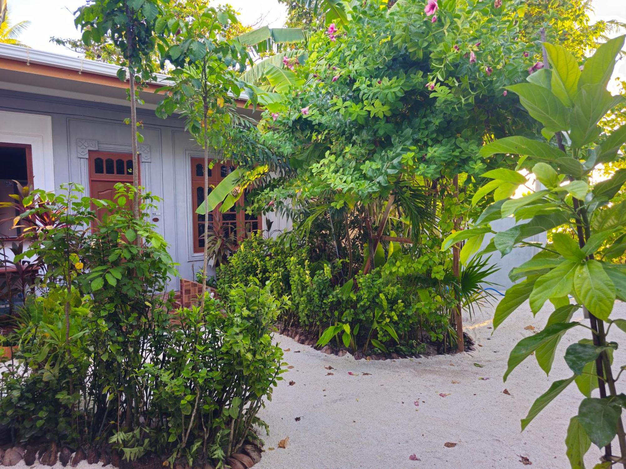 Sunset Beach View Dhangethi Esterno foto